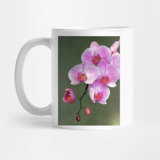 Pink orchid flowers Mug